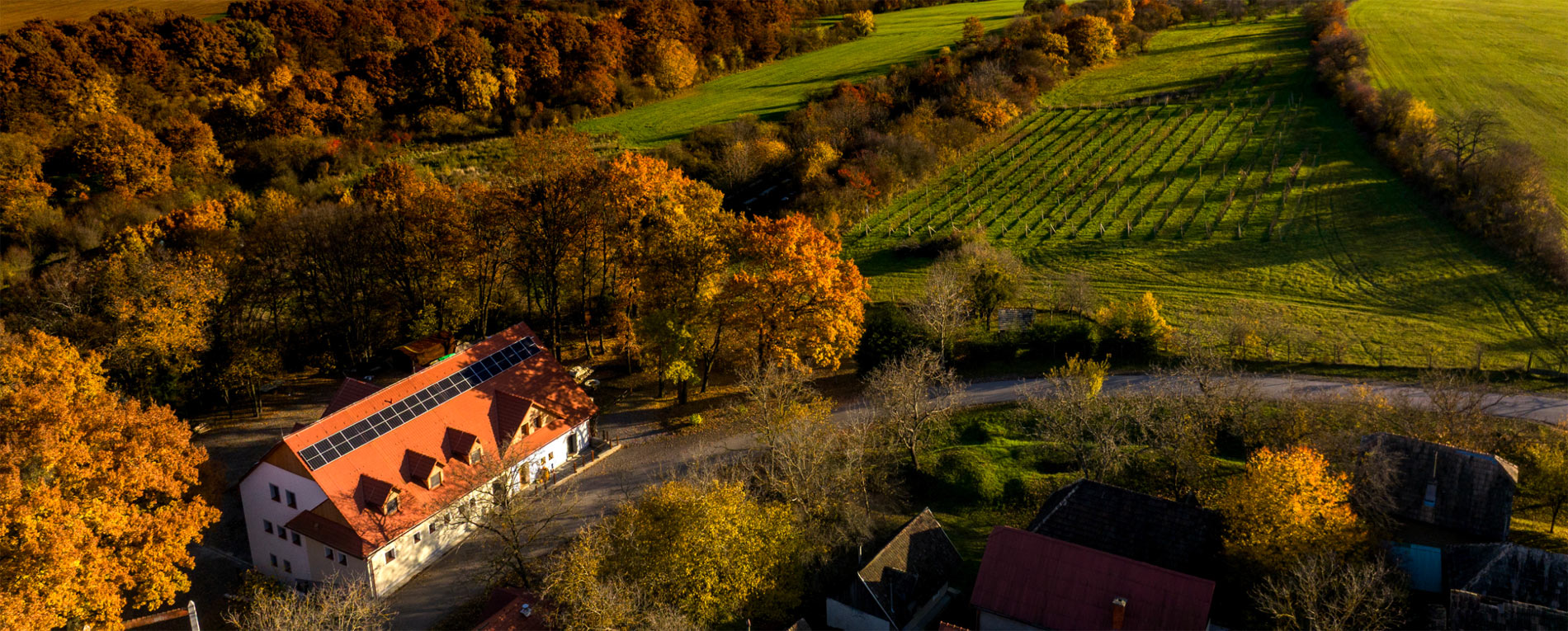 Víno Lauko Sebechleby – pohľad na vinárstvo na Starej Hore v jesenných farbách hontianskeho kraja.