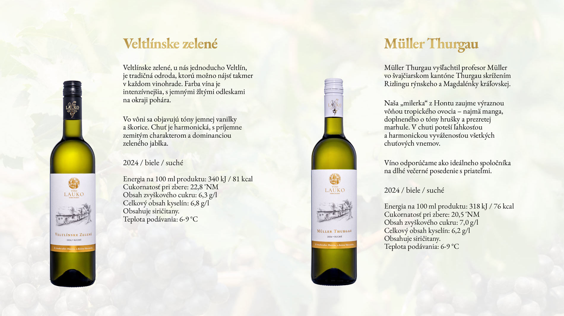 Veltlínske zelené 2024 – biele suché víno s tónmi vanilky, škorice a zeleného jablka, a Müller Thurgau 2024 – biele suché víno s vôňou tropického ovocia. Víno Lauko Sebechleby.