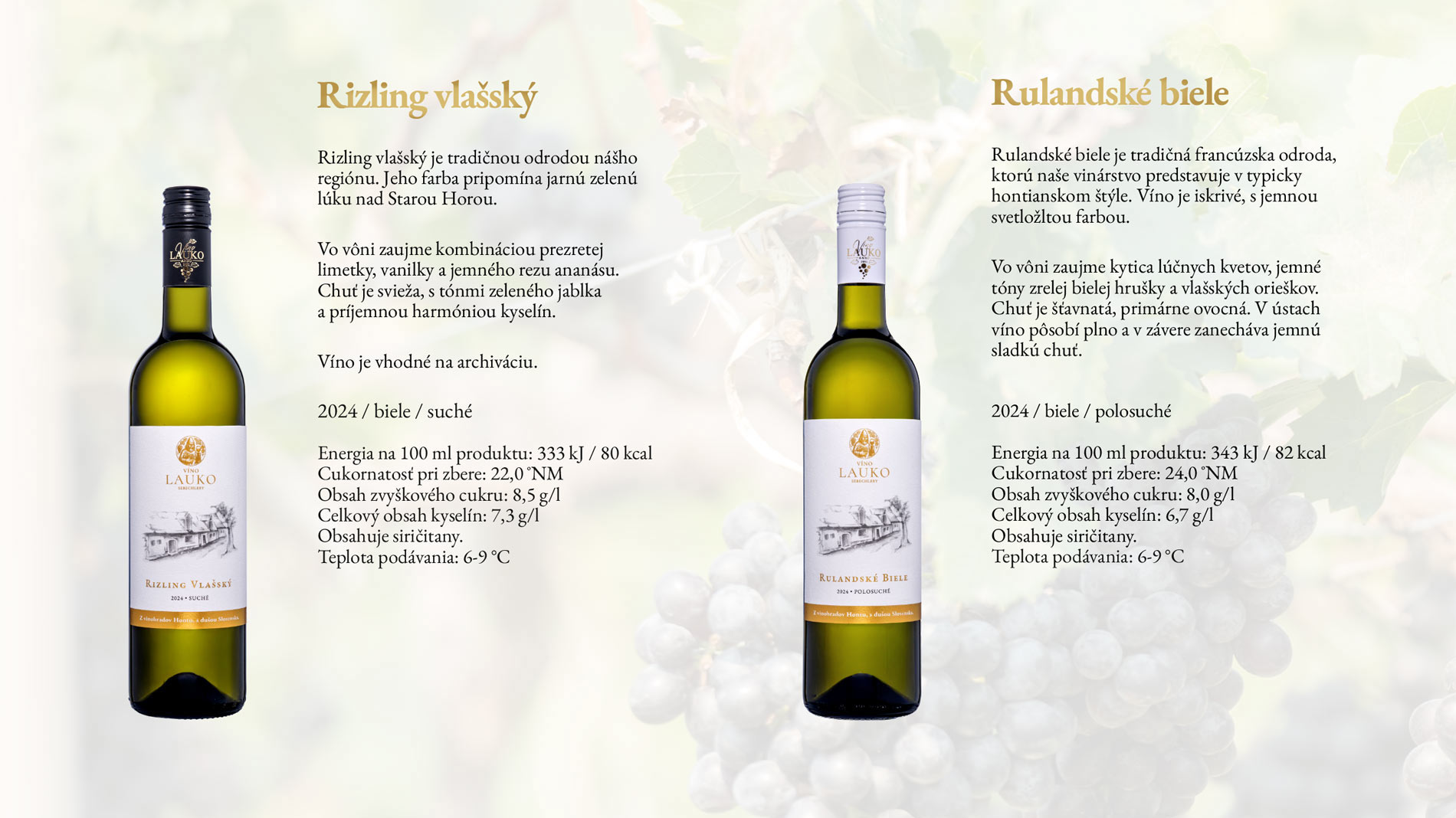 Rizling vlašský 2024 – biele suché víno s arómou limetky a vanilky, a Rulandské biele 2024 – biele polosuché víno s kyticou lúčnych kvetov. Víno Lauko Sebechleby.