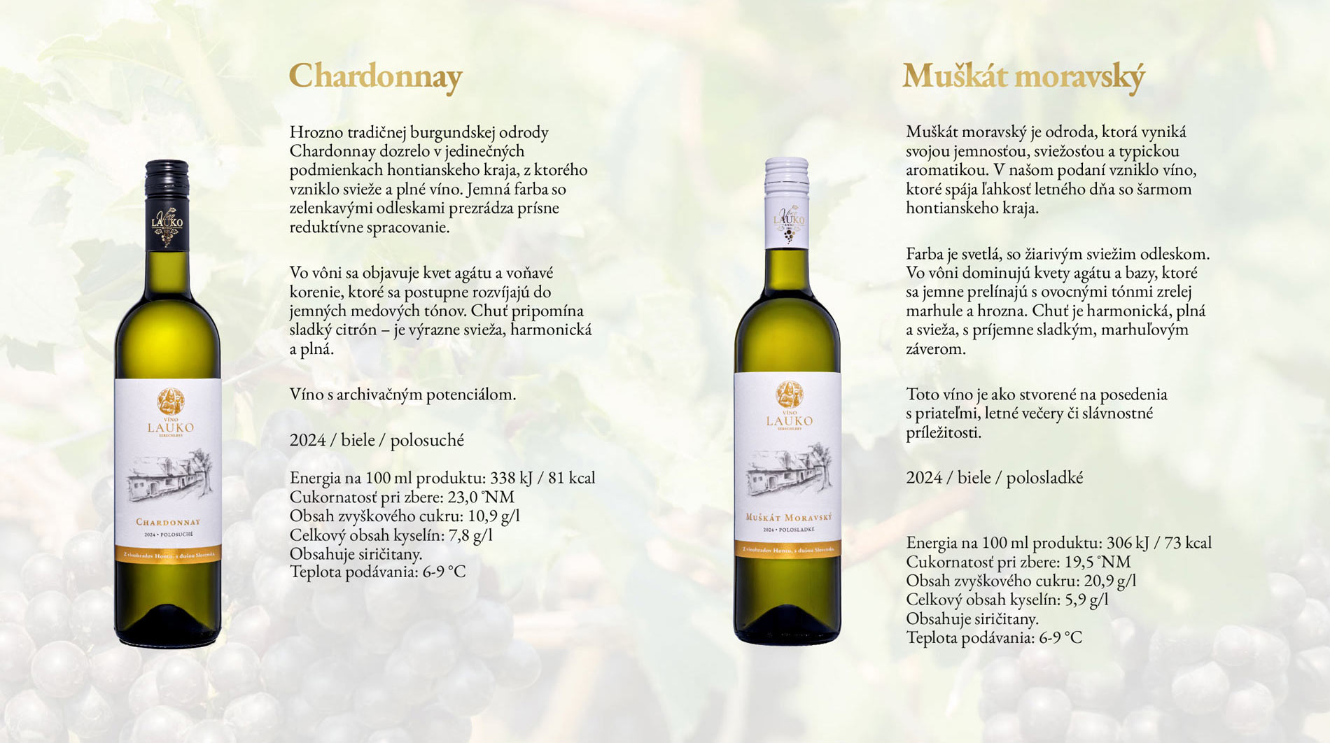 Chardonnay 2024 – biele polosuché víno s kvetom agátu a medovými tónmi, a Muškát moravský 2024 – biele polosladké víno s kvetmi agátu a bazy. Víno Lauko Sebechleby.